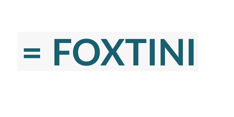 Electric motor start-up Foxtini bags multimillion Euro deal from Italy’s Arihant