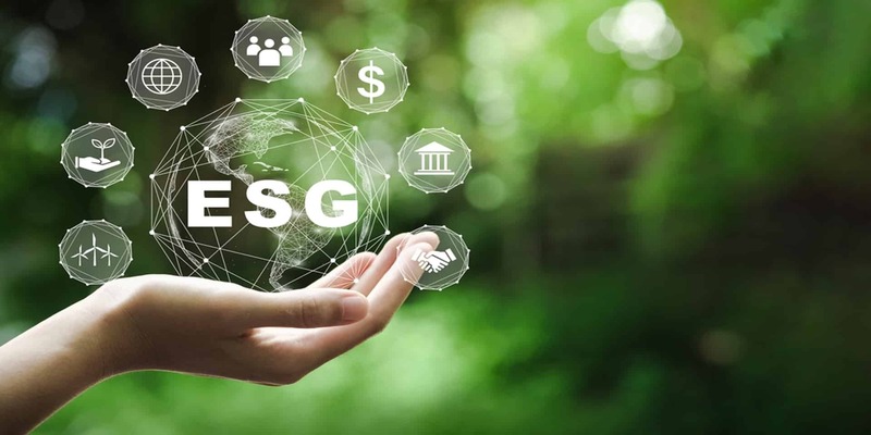 TIIC promotes green investments with New ESG Cell for MSMEs