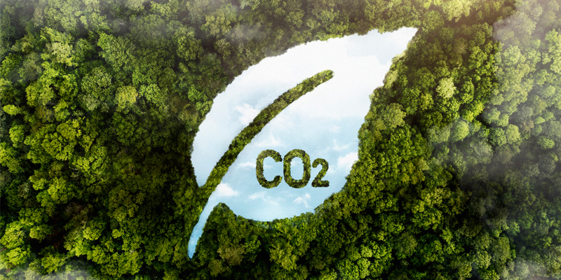 India’s Decarbonisation Journey: Turning Climate Challenge into Opportunity