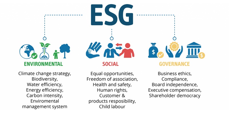 Why was an E missed out from the ESG?