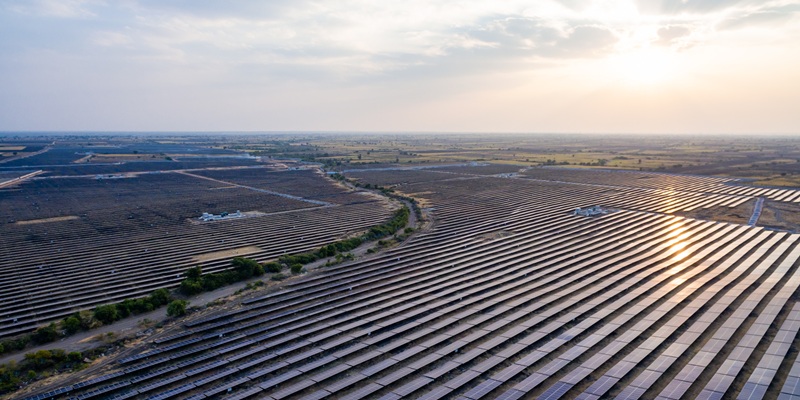 Rays Power Secures 300 MW RE Project from Maharatna PSU