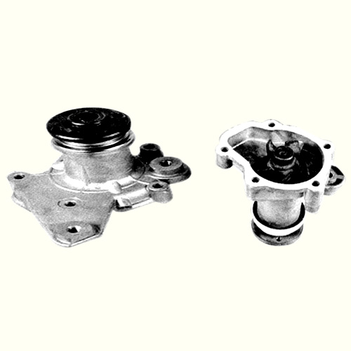 Automotive Water and Oil Pumps