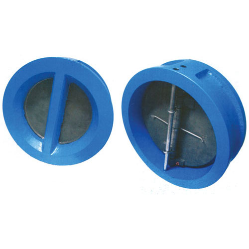 Dual Plate Check Valve