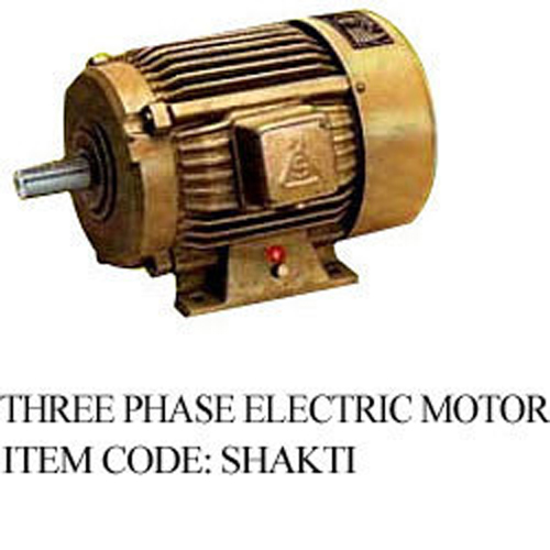 Three Phase Electric Motor
