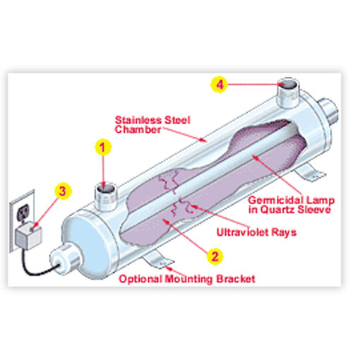 UV Purifiers