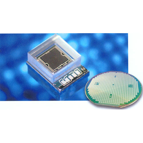 Silicon Absolute Pressure Sensor Die With Top Glass Cap