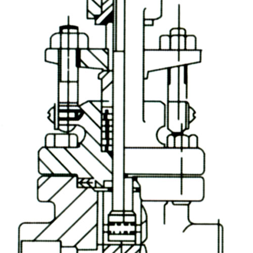 Forged Steel Gate Valve