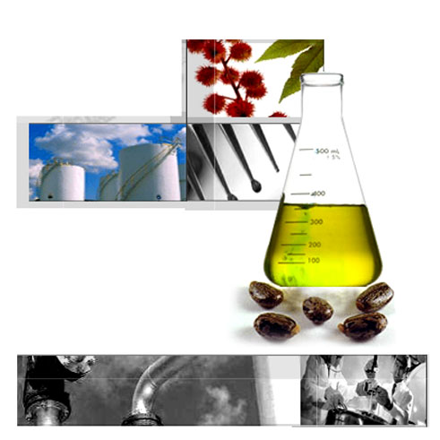 Castor-Based Specialty Chemicals