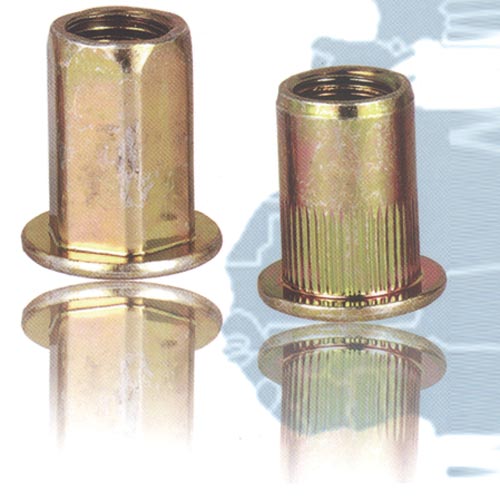 Blind Rivets Nuts