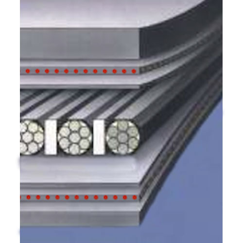Steel Cord Belts