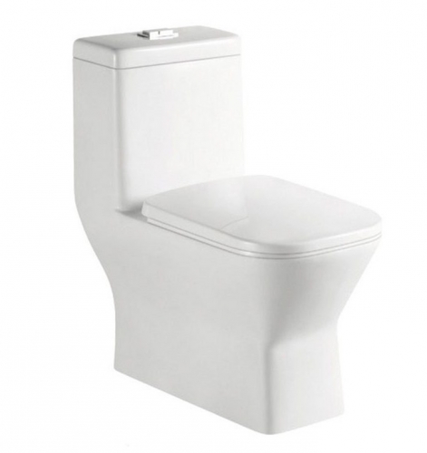 Floor Mounted Water Saving Toilet