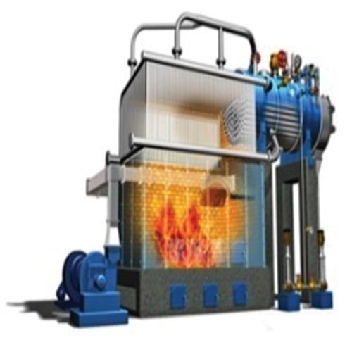 Solid Fuel Fired Steam Boiler, Package Type