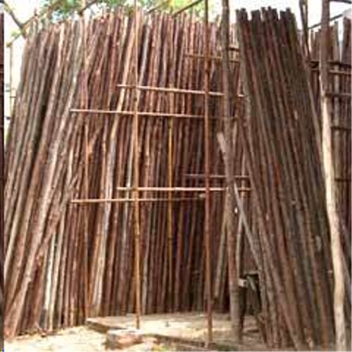 Bamboo Poles/Sticks