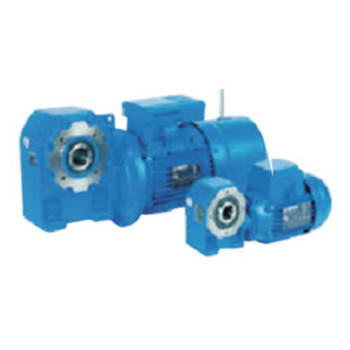 Gear Reducers & Motors