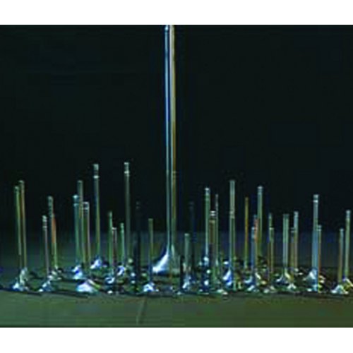 Engine Valves