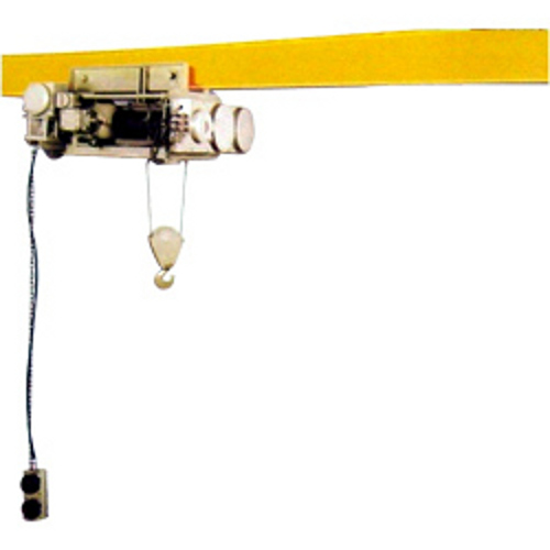 Industrial Flame Proof Hoists