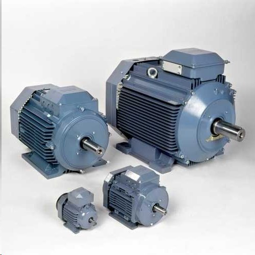 Induction Electric Motors