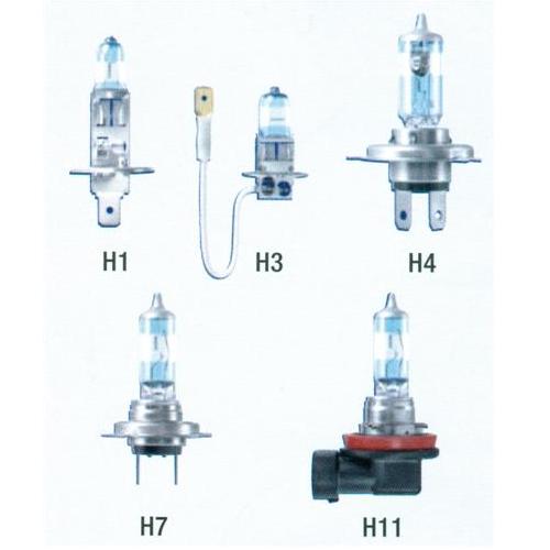 Halogen Head Lamps & Bulbs