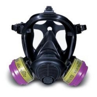 Full Face Mask with Cartridge