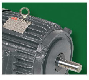 Motors & Power Transmission Products