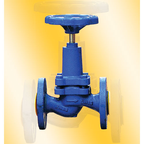 Globe Valves