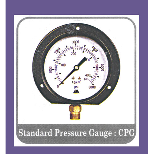 Standard Pressure Gauge