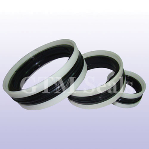 Compact Piston Seals