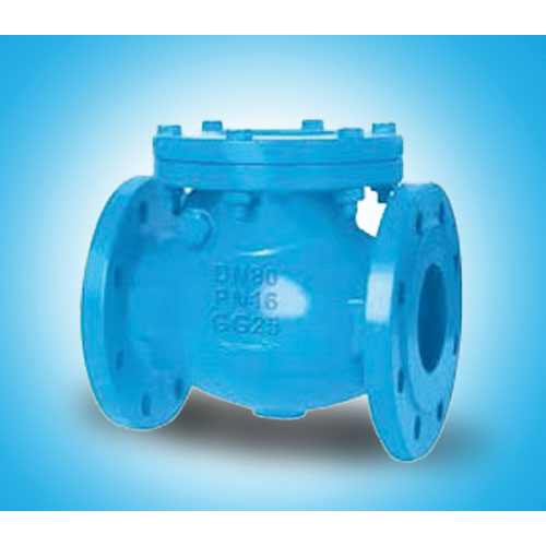 Check Valves Swing Type