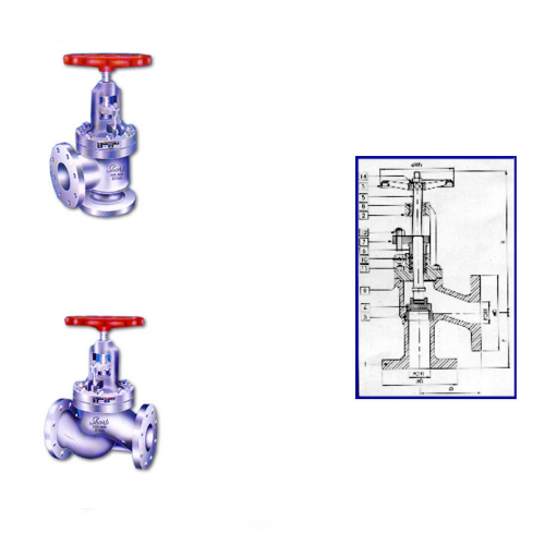 Angle Globe Valves