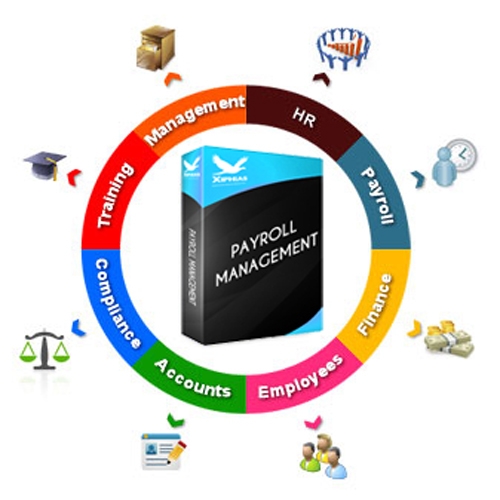 Payroll Management Software