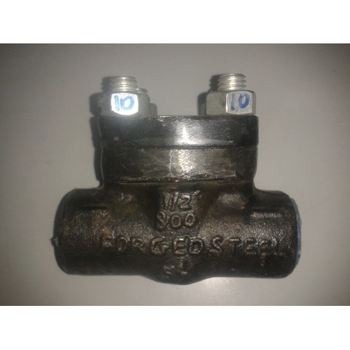 Forged Steel Class 800 Check Valves