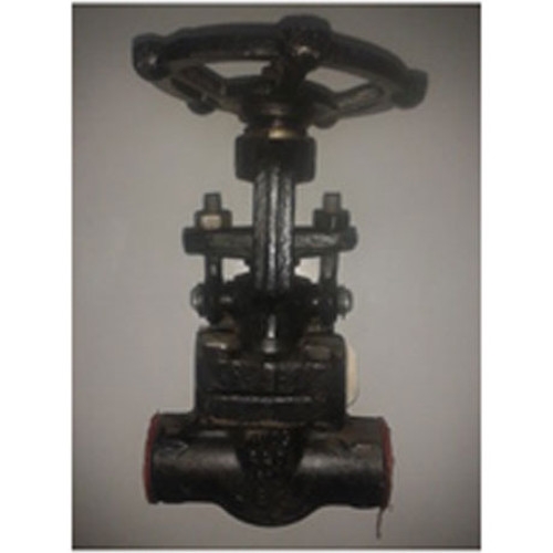 Forged Steel Class 800 Gate Valves