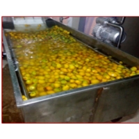 Mango Processing Plant And Machinery
