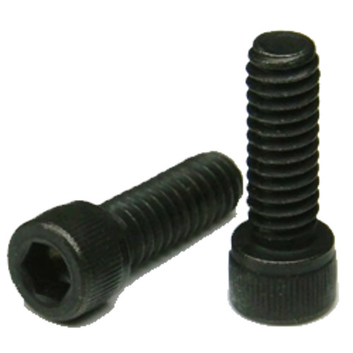 Socket Head Cap Screw