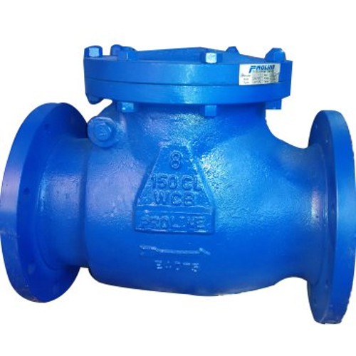 Swing Check Valve