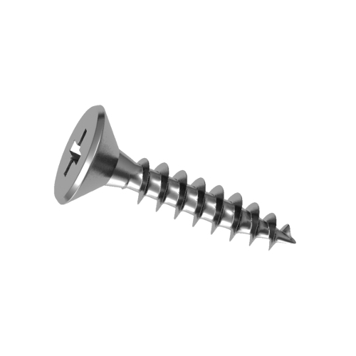  SS Screws