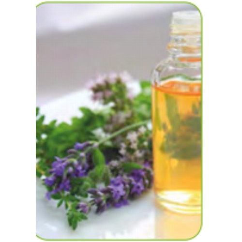 Mentha Oil