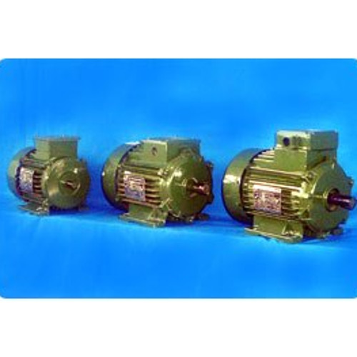 AC Induction Motors