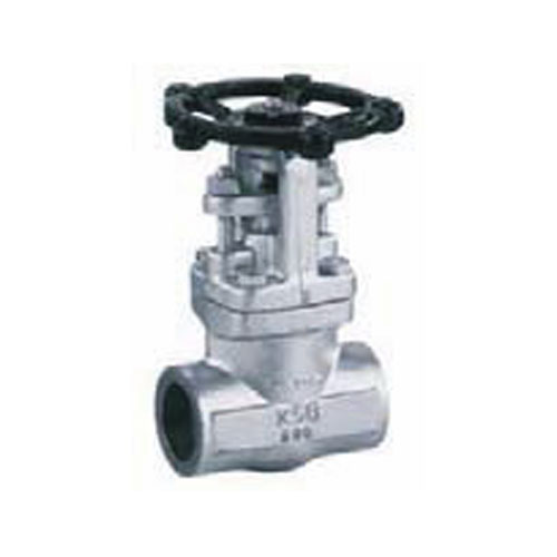 Stainless Steel Gate Valves