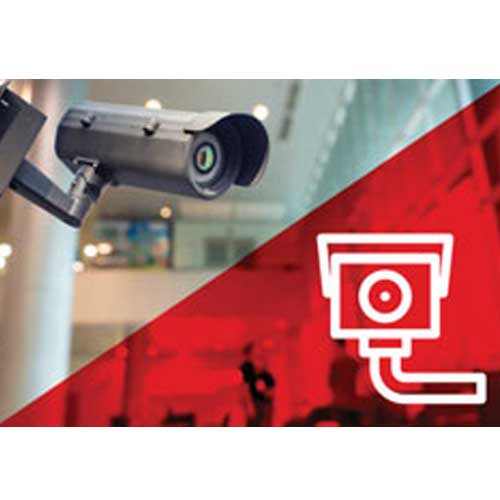 Video Surveillance System