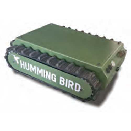 Autonomous Surveillance Humming Bird